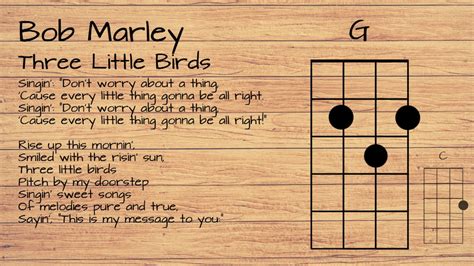  Three Little Birds - A Song That Gently Soothes Your Soul With its Melodious Island Rhythm